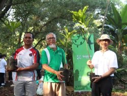 Belantara Foundation dan Merck Indonesia Tanam 300 Bibit Pohon Khas Jakarta