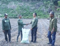 Sabang mulai Budidayakan Tanaman Nilam