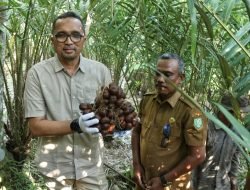 Pj Wali Kota: Lahan Pertanian Sabang Menjanjikan