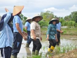 Pj Bupati Aceh Besar Sebut Bertani juga Ibadah