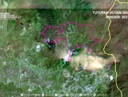 WALHI Aceh: Sekda Subulussalam Jangan Jadi Jubir PT Sawit Panen Terus