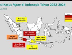 Kemenkes Umumkan 88 Kasus Monkeypox di Indonesia