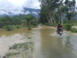 Curah Hujan Tinggi, Belasan Desa di Aceh Tenggara Terendam Banjir