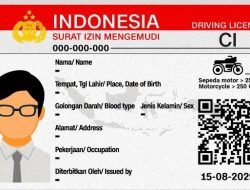 SIM Indonesia Bisa Digunakan di Luar Negeri Mulai Juni 2025