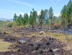 Kebakaran Lahan di Bener Meriah Berhasil Dipadamkan