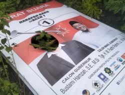 Sejumlah Baliho Om Bus-Syech Fadhil di Pidie Raib Serta Dirusak