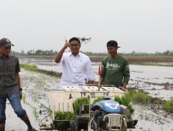 Pemerintah Cetak Tiga Juta Hektare Sawah Baru