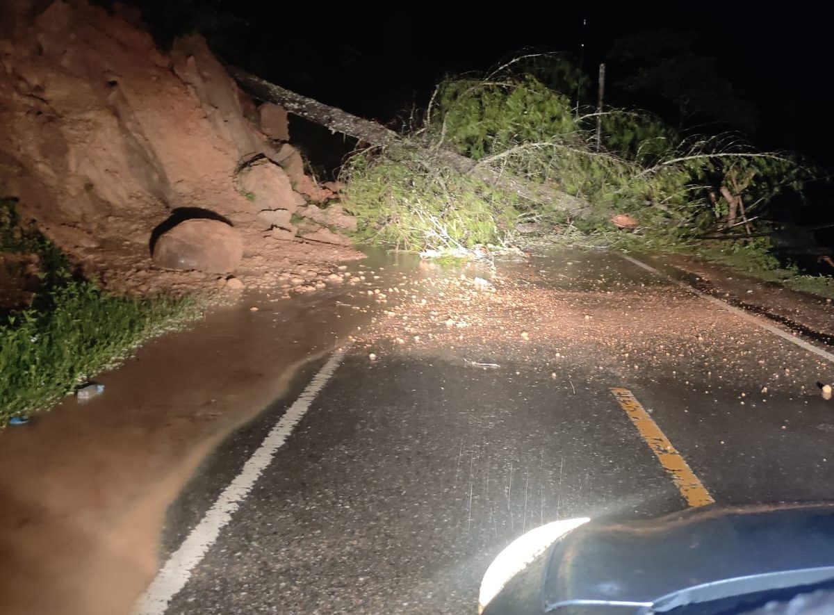 Jalan lintas Blang Kejeren - Takengon untuk sementara waktu belum bisa dilalui akibat adanya pohon tumbang