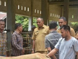 Pj Bupati Aceh Timur Tinjau Pasar Hewan Idi Rayeuk
