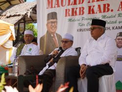 Abu Mudi: Bustami Calon Gubernur Nyang Tanyo Dukung