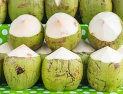 Wajib Tahu! Ada Kelompok Orang Tidak Boleh Minum Kelapa