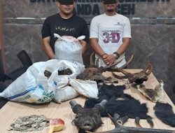 Ungkap Perdagangan Satwa Liar, Polisi Amankan Dua Pelaku di Aceh Besar