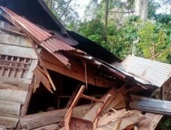 20 Rumah Warga Lampung Barat Diserang Gajah Liar