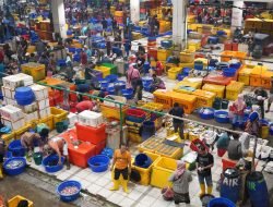 KKP Pastikan Stok Ikan Aman untuk Kebutuhan Nataru