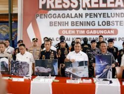 Bareskrim Polri Gagalkan Penyelundupan 151 Ribu Benih Lobster