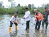 SBA Reklamasi Area Bekas Tambang dan Lepas Ribuan Ikan Kakap Putih
