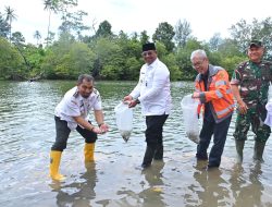 SBA Reklamasi Area Bekas Tambang dan Lepas Ribuan Ikan Kakap Putih