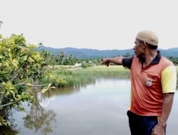 Petani Gampong Ladang 25 Tahun Dihantui Ancaman Gagal Panen