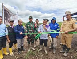 Belantara Foundation Dukung Pemerintah Wujudkan Manusia dan Gajah Liar Hidup Harmonis