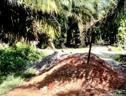 Petani Abdya Protes Penutupan Jalan Perkebunan