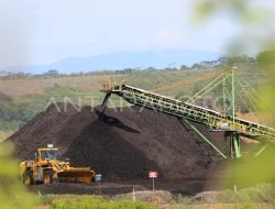 Kementerian ESDM Wajibkan Kontrak Ekspor Batu Bara Gunakan HBA