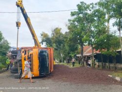 Truk Terguling di Simpang Dodik, Muatan Sawit Brondol Tumpah Ruah ke Jalan