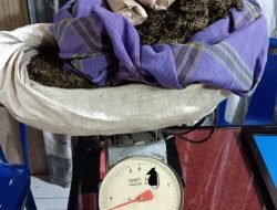 Wanita 57 Tahun di Bener Meriah Ditangkap Kasus Narkotika