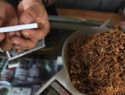 Masyarakat RI Kompak Pindah ke Rokok Murah, Ini Respons Bea Cukai