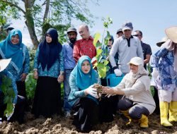 Marlina Muzakir Tanam Murbei, Dorong Kebangkitan Sutera Aceh