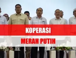 Cara Agar Bisa Jadi Pengurus Koperasi Merah Putih, Dapat Gaji Rp8 Juta?