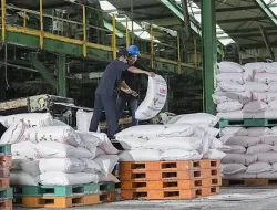 BPK Temukan Pemborosan Rp2,9 T Subsidi Pupuk, KPK Diminta Turun Tangan!