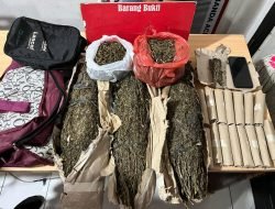 Polresta Banda Aceh Amankan 3,7 Kg Ganja dan Tersangka