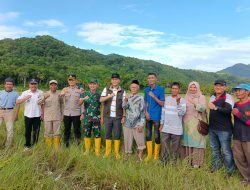 Luncurkan Program BASAGA, Forkopimda Aceh Selatan Turun ke Sawah untuk Bajak Gratis