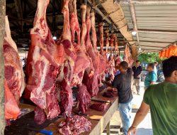 Harga Daging di Pasar Induk Lambaro Masih Stabil Jelang Idul Adha