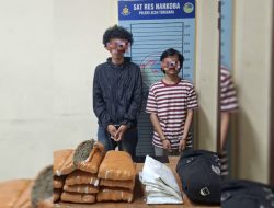 Polres Agara Gagalkan Penyelundupan 10 Kg Ganja, Dua Warga Sumatera Utara Diamankan