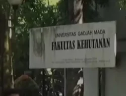 Isu Ijazah Palsu Jokowi Bikin Anak Muda Ogah Kuliah di UGM, Katanya Mirip Universitas Abal-abal di Bangunan Ruko