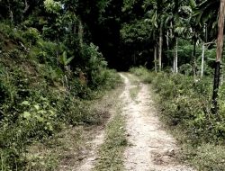 Warga Harap Jalan Perkebunan di Tangan-Tangan Abdya Segera Diaspal