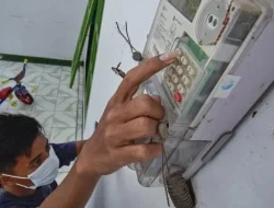 Pemerintah Adakan Lagi Diskon Tarif Listrik 50 Persen