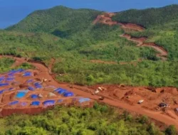 Eksploitasi Raja Ampat, DPR Bingung Hanya Anak Usaha BUMN yang Ditindak