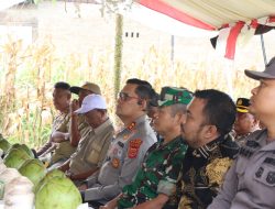 Polres Aceh Selatan Dukung Panen Raya Jagung Serentak