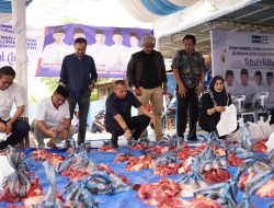 Demokrat Aceh Sembelih 4 Ekor Sapi dan Santuni Anak Yatim