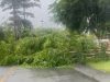 Hujan Deras Disertai Angin Kencang Landa Aceh Besar, BPBD Imbau Masyarakat Waspada