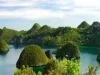 Wisata Raja Ampat Ditutup Imbas Pencabutan Izin Tambang