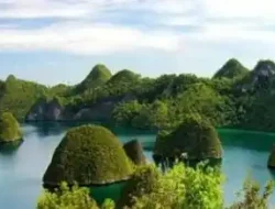 Wisata Raja Ampat Ditutup Imbas Pencabutan Izin Tambang