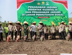 Polda Aceh Kerahkan Ratusan Alsintan untuk Dukung Penanaman Jagung Serentak Kuartal III