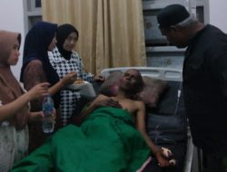 Warga Linge Jadi Korban Serangan Gajah Liar