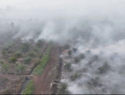 Pemkab Aceh Selatan tetapkan Kebakaran di Hutan Bakongan Status Darurat
