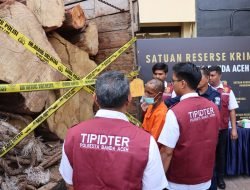 Polresta Banda Aceh Amankan Tujuh Kubik Kayu Ilegal