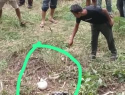 Penemuan Sosok Tengkorak Manusia Hebohkan Warga di Aceh Tenggara