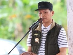 Mendagri Nonaktifkan Sementara Bupati Aceh Selatan, Wakil Bupati Ditunjuk sebagai Plt